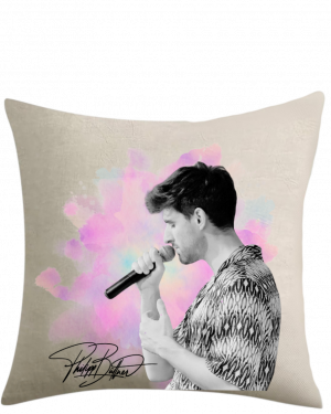 Kissen Beige mit Inlay